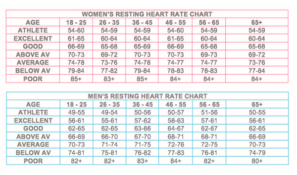 Blood Pressure And Heart Rate